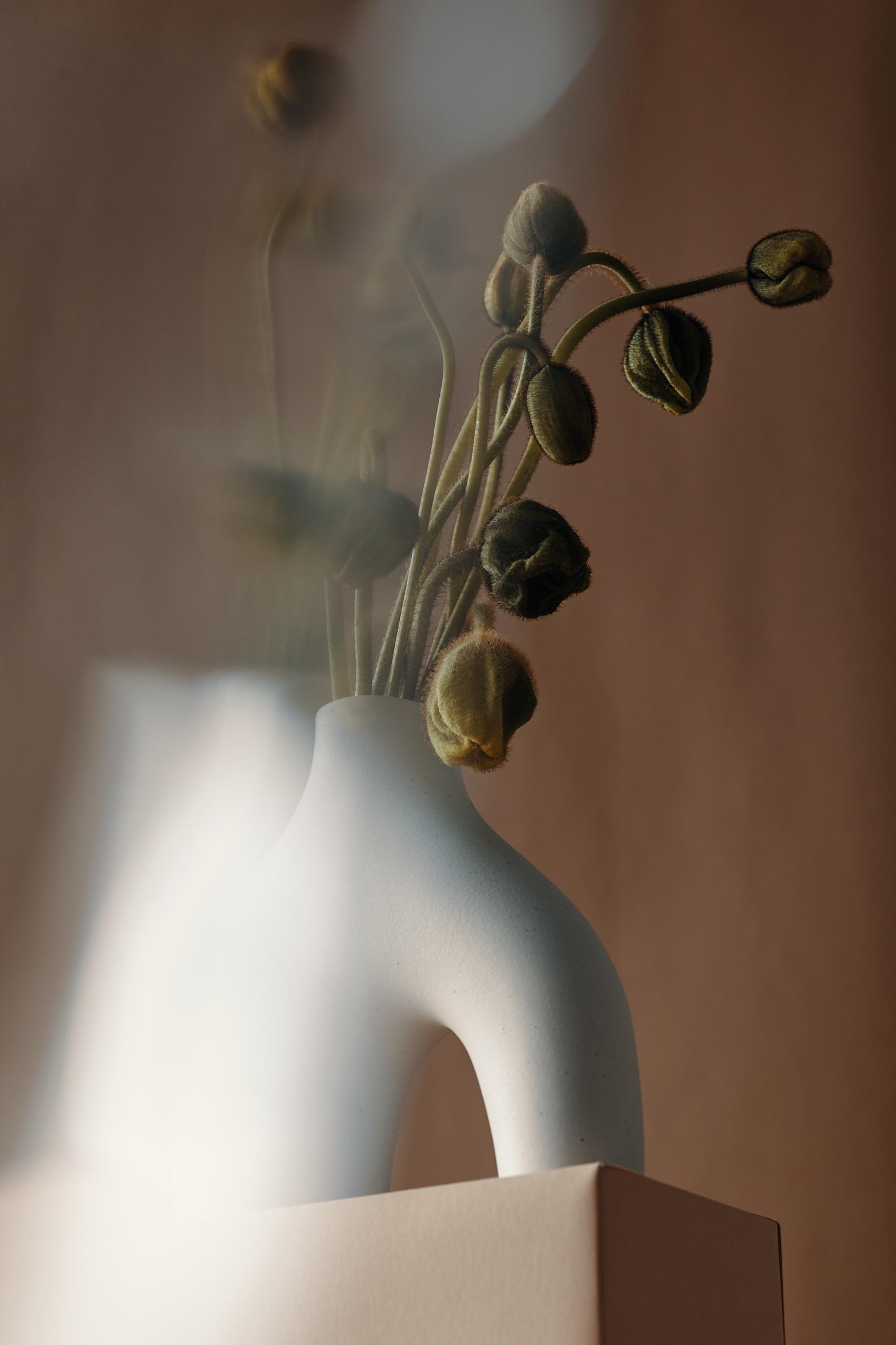 Photography by Larry Vila Pouca